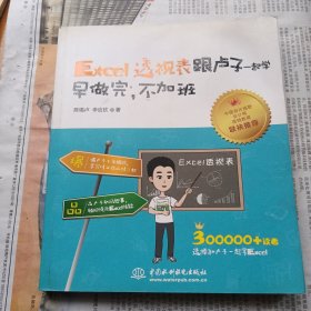 Excel透视表跟卢子一起学 早做完，不加班