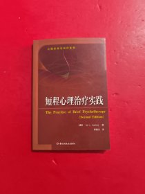 短程心理治疗实践