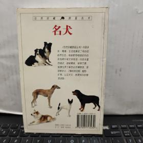 名犬：全世界300多种名犬的彩色图鉴（铜版纸印刷，内页干净无笔记，详细参照书影）客厅2-7