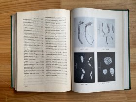 中药志（第二册）人民卫生版 16开精装
