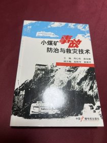 小煤矿事故防治与救灾技术