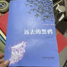 远去的黑鸦 : 苏冠华小说集