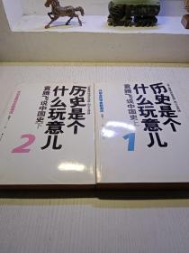 历史是个什么玩意儿2：袁腾飞说中国史下