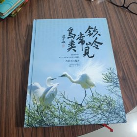 铁岭常见鸟类----包邮