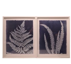 20250114J05 蕨类植物2联装饰画 外框尺寸：52*61 厘米 出口品质 带玻璃