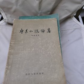 鲁迅小说论集