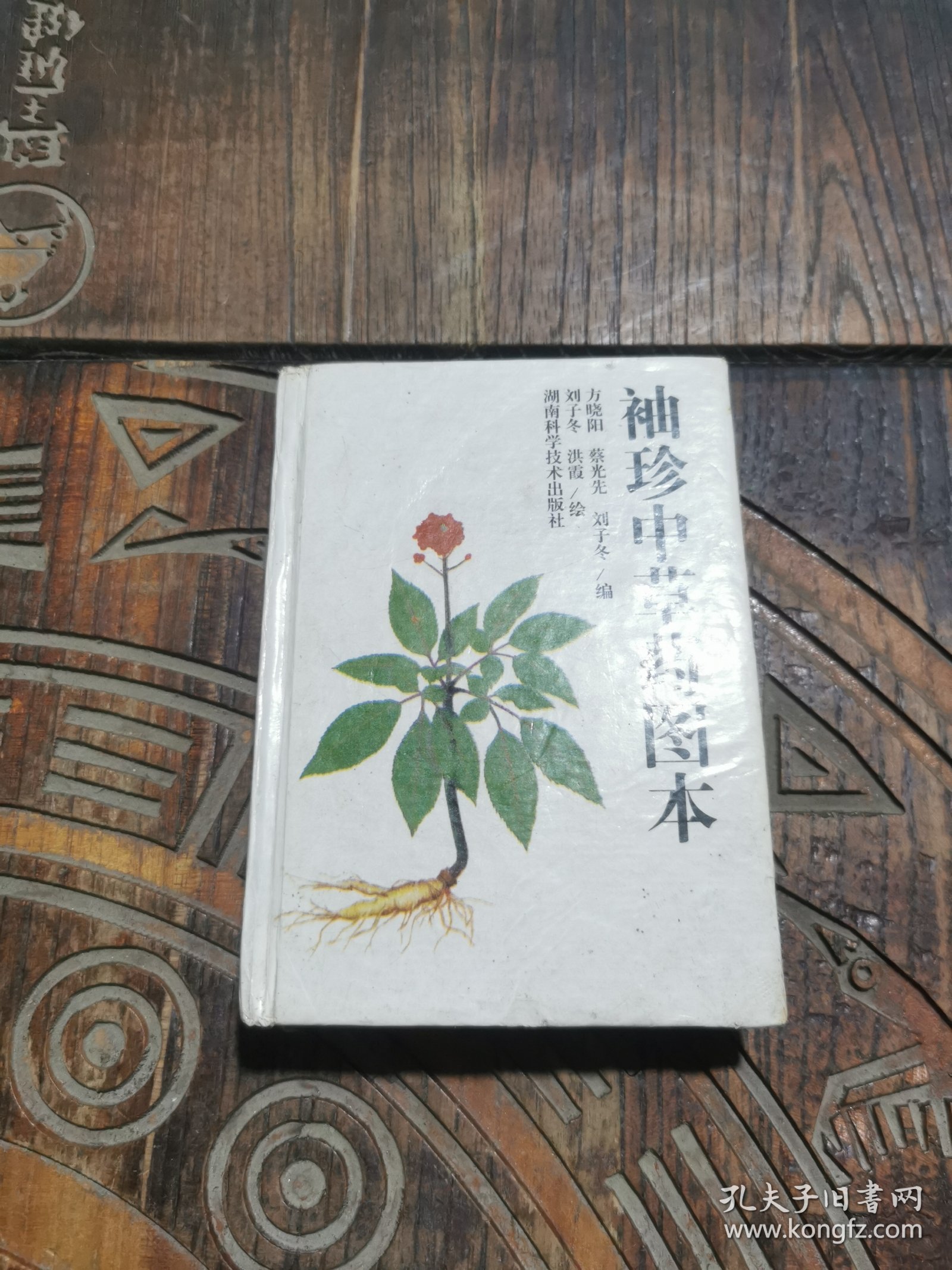 袖珍中草药图本