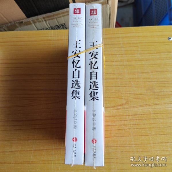 王安忆自选集（王安忆亲自编选！王蒙封面题字并作序推荐！全面展现王安忆三十余年创作成就的权威读本）