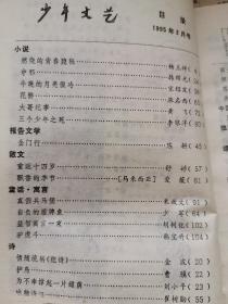 上海版少年文艺杂志，1995年2+6+11，三本合售，有燃烧的青春，舒婷作品