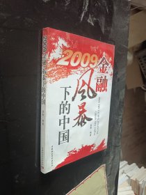 2009金融风暴下的中国