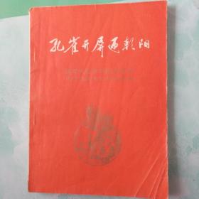 孔雀开屏迎朝阳――100号