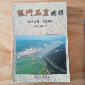 龙门石窟总录 第十一卷 实测图