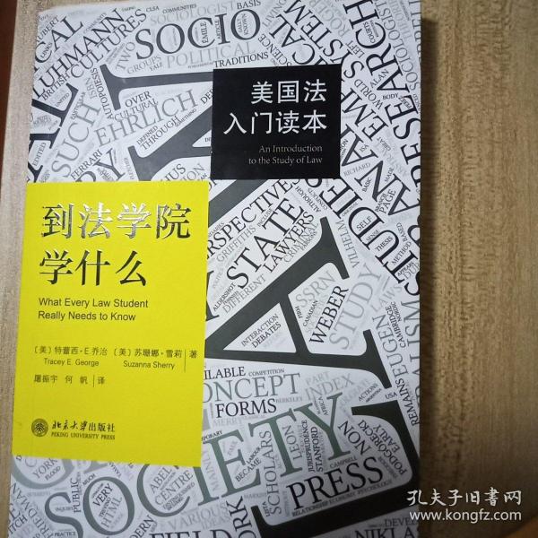 到法学院学什么：美国法入门读本