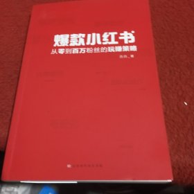 爆款小红书：从零到百万粉丝的玩赚策略