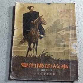 夏伯阳的故事