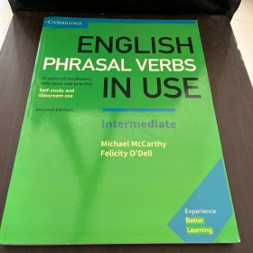 ENGLISH PHRASAL VERBS IN USE