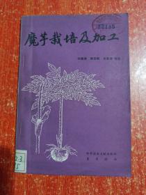 魔芋栽培及加工