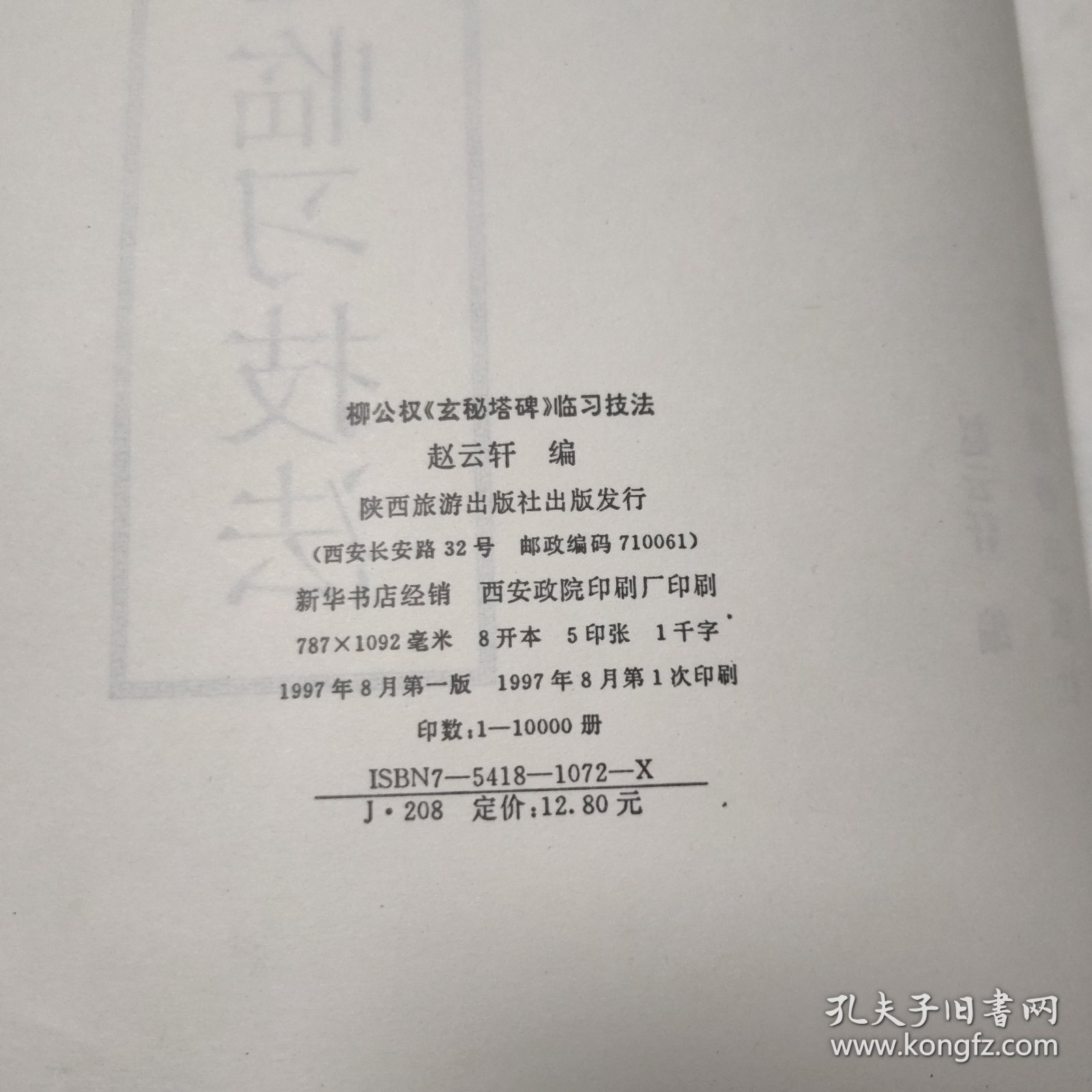 大字墨宝本--赵孟頫寿春堂记临习技法 柳公权玄秘塔碑临习技法（两本）