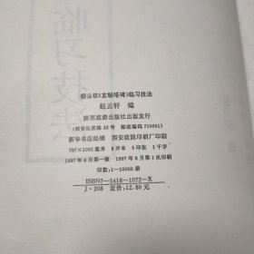 大字墨宝本--赵孟頫寿春堂记临习技法 柳公权玄秘塔碑临习技法（两本）