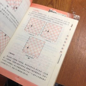 棋牌娱乐指南：国际象棋入门与提高