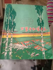 萬紫 千紅 塔里木