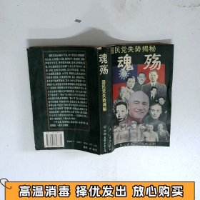 魂殇 国民党失势揭秘