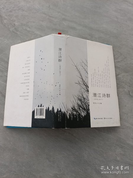 潜江诗群（2016-2017）