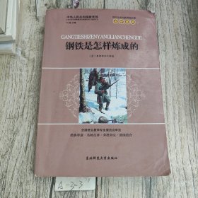 初中生语文新课标必读.名师精解 钢铁是怎样炼成的