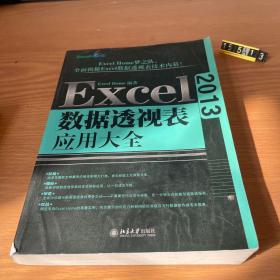 Excel 2013数据透视表应用大全