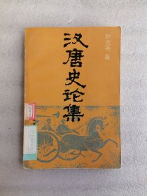 汉唐史论集
