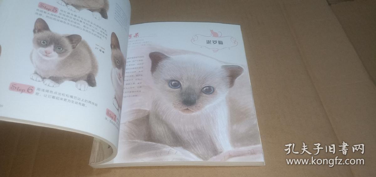 猫咪绘：33只萌猫的色铅笔绘图