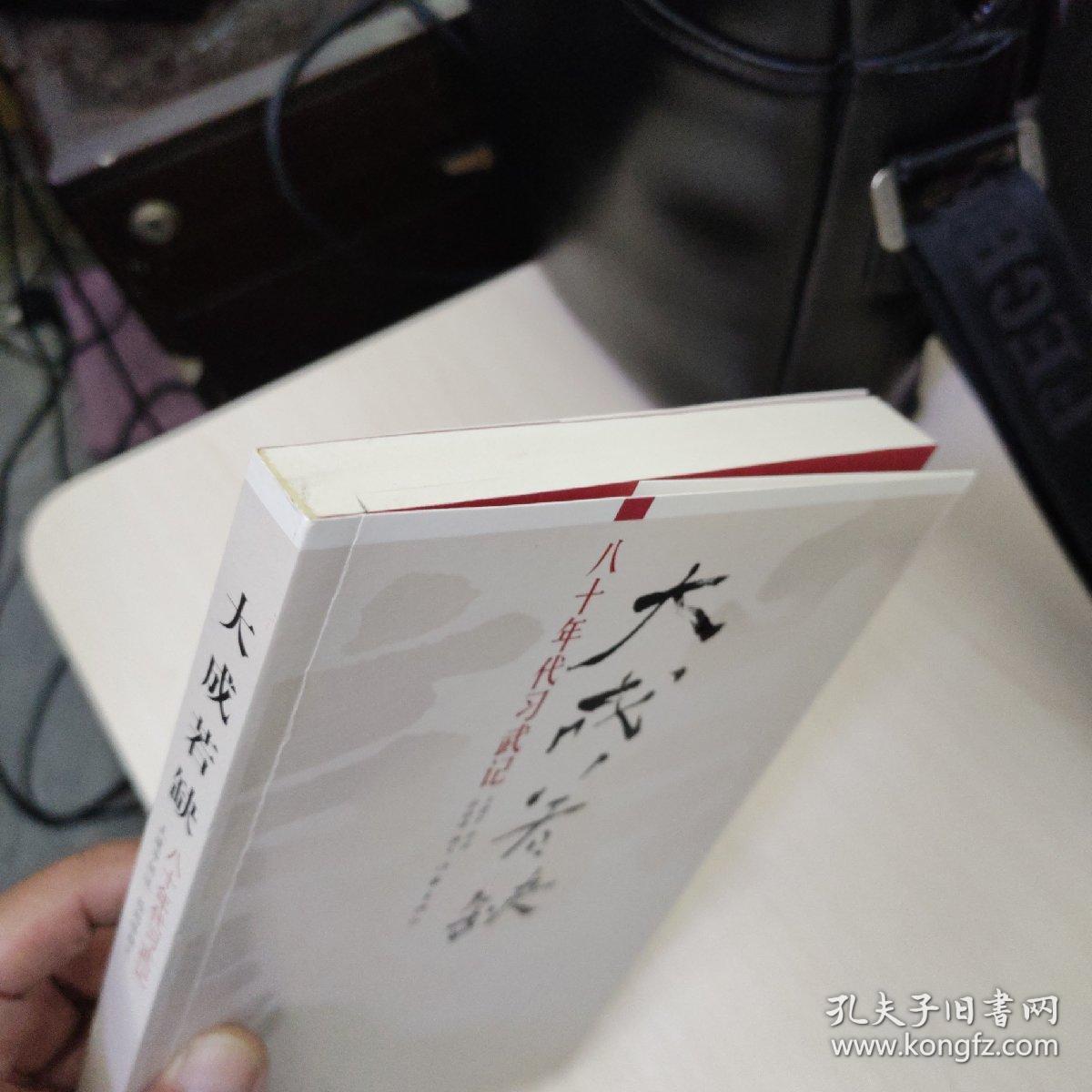 大成若缺：八十年代习武记 武士会 2册