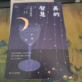 美的智慧：2024中国杂文精选 散文
