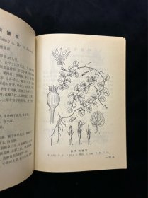 昆明民间常用草药，品好