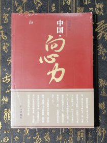 中国·向心力 未拆封