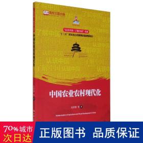 中国农业农村现代化（认识中国·了解中国”书系；国家出版基金项目；“十三五”国家重点出版物出版规划项目）