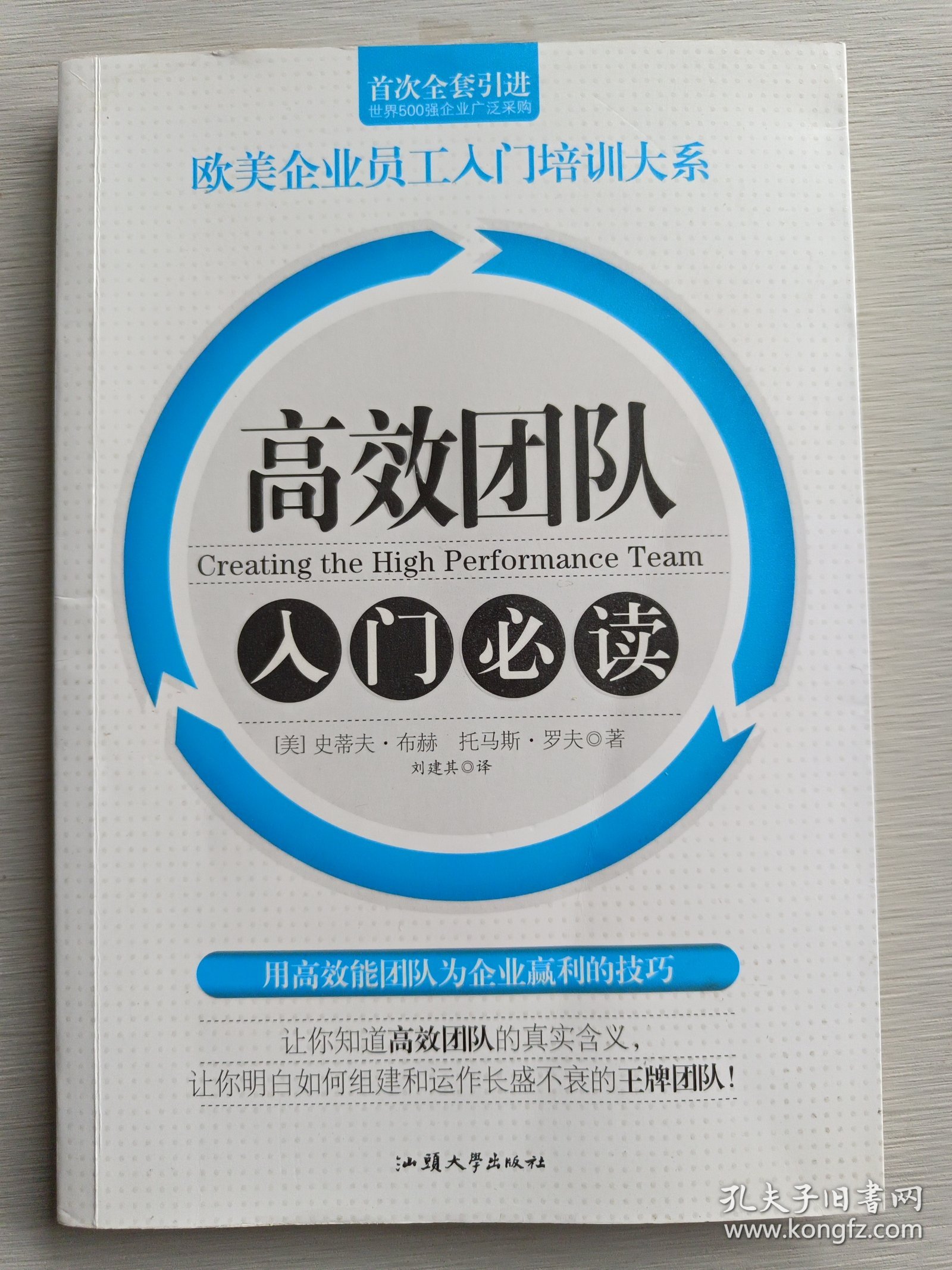 欧美企业员工入门培训大系：高效团队入门必读