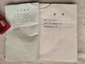 山中有一伙神秘的马帮
