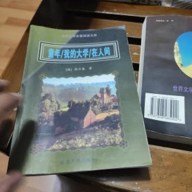 世界文学名著阅读文库：童年，我的大学，在人间