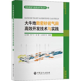 正版书大牛地致密砂岩气田高效开发技术与实践