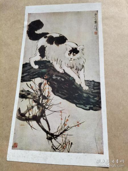 各画徐悲鸿作猫等11张合售