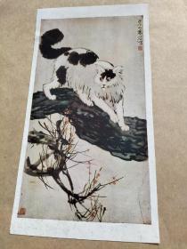 各画徐悲鸿作猫等11张合售