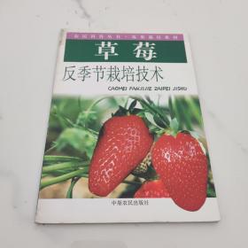 草莓反季节栽培技术