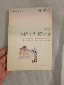 你指着太阳起誓