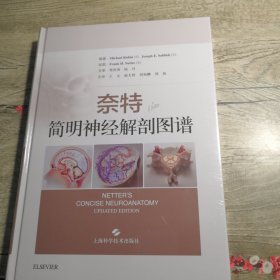 奈特简明神经解剖图谱（全新未拆封）