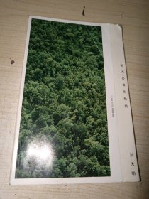 毫无必要的热情 正版实物图现货 不偏远包邮