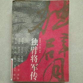 独臂将军传