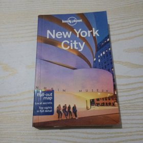 LONELY PLANET NEW YORK CITY