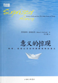 意义的惊现：科学、信仰以及如何理解事物的意义