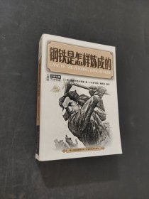 钢铁是怎样炼成的